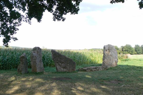 Standing stones near the southern dolmen in Oppagne (Wris II)