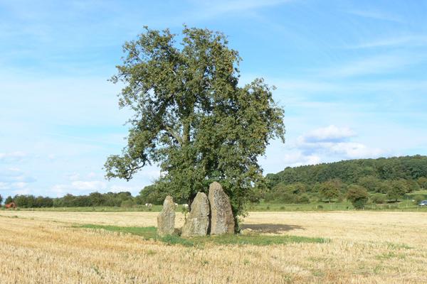 Three "menhirs" in Oppagne