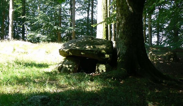 Blommeskobbel - Little dolmen