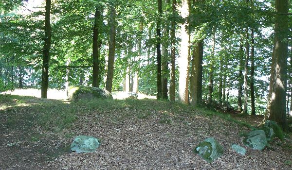 Blommeskobbel - Remaining of a dolmen